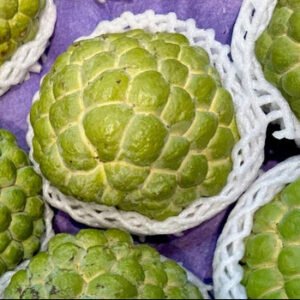 Custard Apple